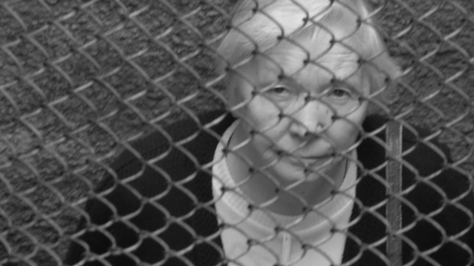 A person seen through a wire fence in MONUMENT.