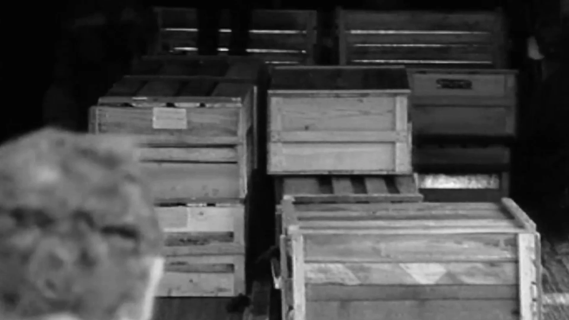 Caskets inside an aircraft during the return of remains, in footage shown in MONUMENT.